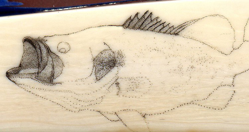 Colin Paterson Scrimshaw - Largemouth - Image 3