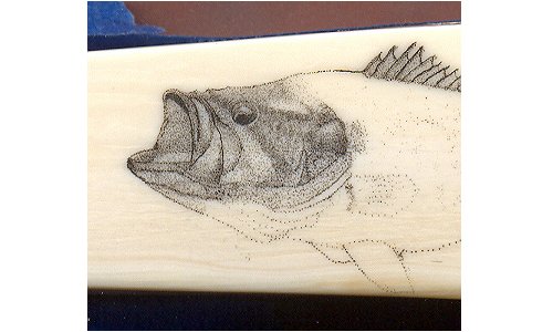 Largemouth Bass Scrimshaw - Image 5