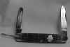 r4723.jpg
