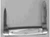 r6465.jpg