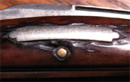 Remington schroll shield