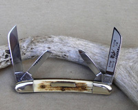 Bulldog Brand Prototype Stag Congress Knife