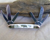 Bulldog Brand 6 Blade Congress Knife