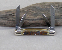 Bulldog Brand Himalayan Sheephorn Congress Knife