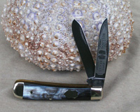 Bulldog Brand Buffalo Horn Presentation Trapper Knife