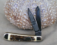Bulldog Brand Genuine Stag Presentation Trapper Knife