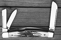 Case Three Blade Congress