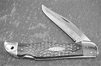 Case XX 6165 Folding Hunter