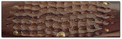Case's Jigged Laminated Wood Handles