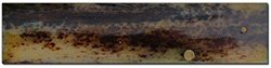 Case's Appaloosa Bone Knife Handles