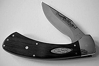 Case's Sidewinder Knife