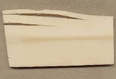 Slab of Mammoth Tusk Ivory