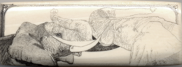 Adding Shade & Detail