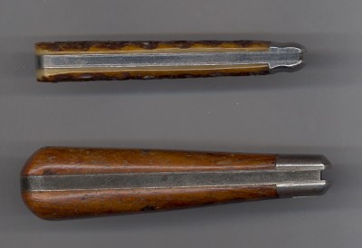 Two Schatt Hawkbills 2.jpg