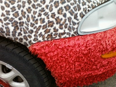 Leopard Car Close Up.jpg