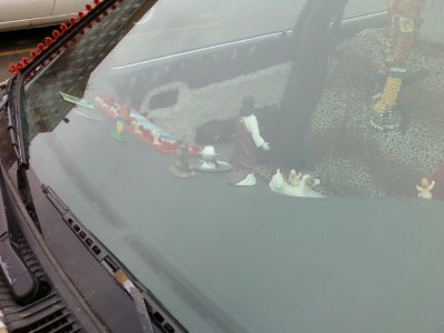 Leopard Car Dash 1.jpg