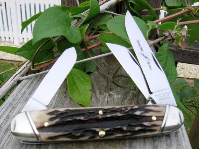 GEC #538311 Genuine Stag f.JPG