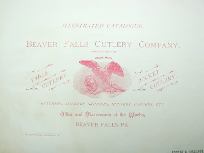 Beaver Falls Cat cover.jpg
