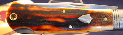 Seller pic Red Elk19