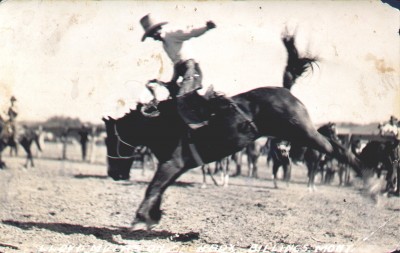Loyd Myers on saddle bronc, Billings, MT - 1931.jpg