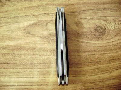 Buck 301 Closed Top Blade View.JPG