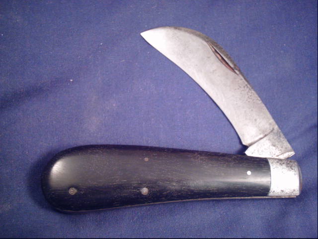walden hawkbill.jpg