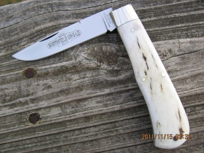 GEC #73 Scout  Axis Stag F.JPG