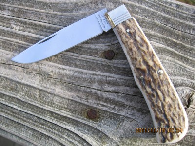 GEC #73 Scout Sambar Stag-Flat Bolsters F.JPG