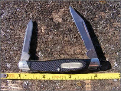 Buck309.jpg