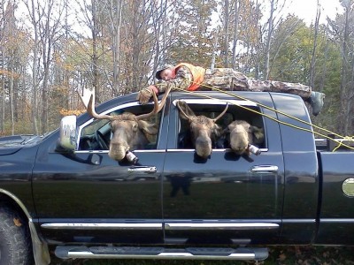 Moose Hunt.jpg