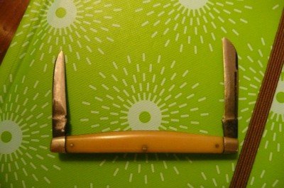 P1010860.jpg