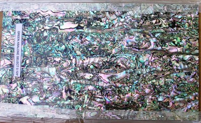 Green abalone