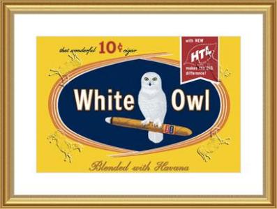 owl.jpg