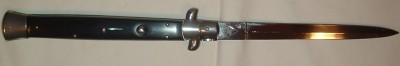 AKC 13 HORN.jpg