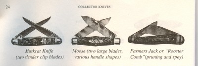 moose - 2.JPG