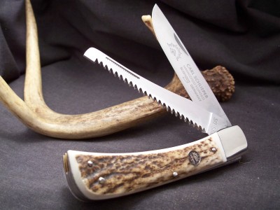 stag 001.jpg