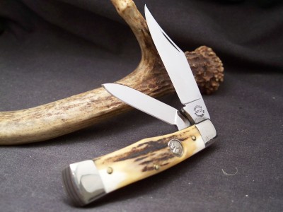 stag 003.jpg