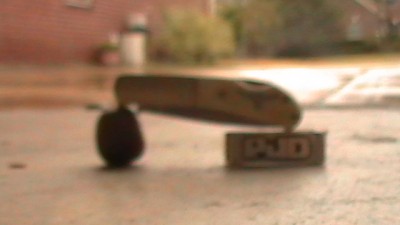 S1230071.JPG