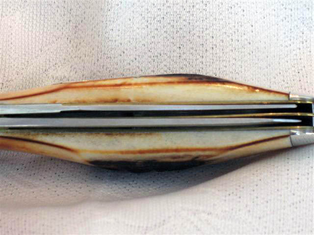 IMG_1889 (Small).JPG