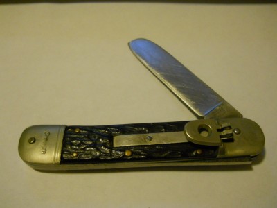 Bonsa Springer.JPG