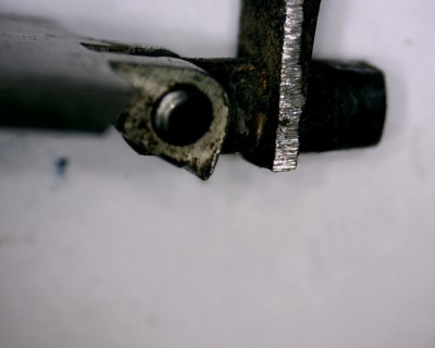 Bonsa Springer Seer Pin 1.jpg