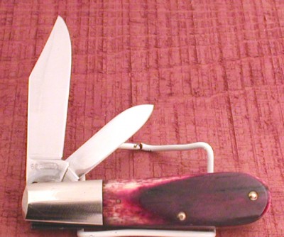 r62009.5.JPG