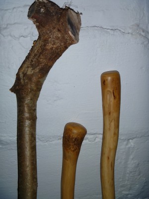 P1000115.jpg