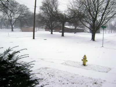 Snow 1-12-12.JPG