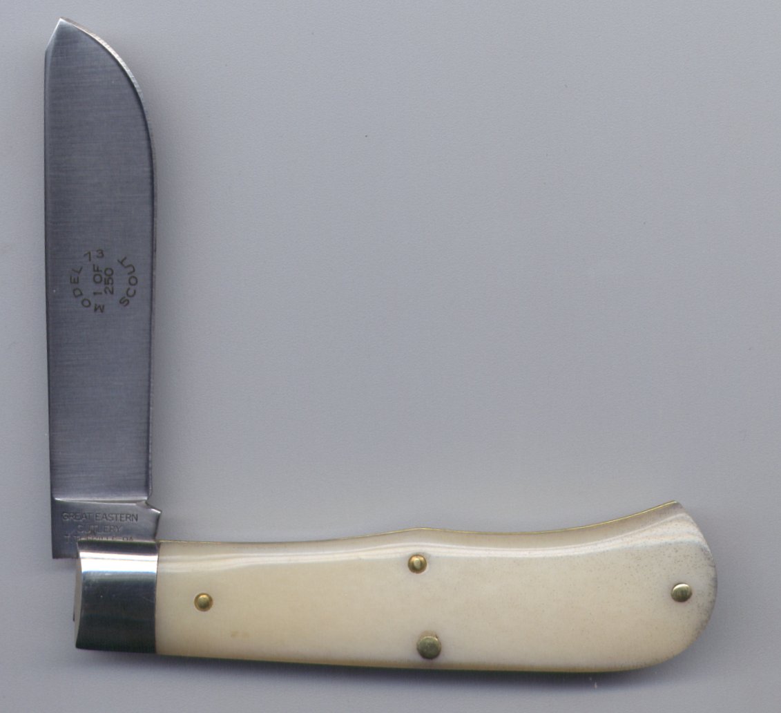 beaver_tail_back.jpg