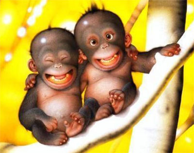 Monkey Brothers.jpg