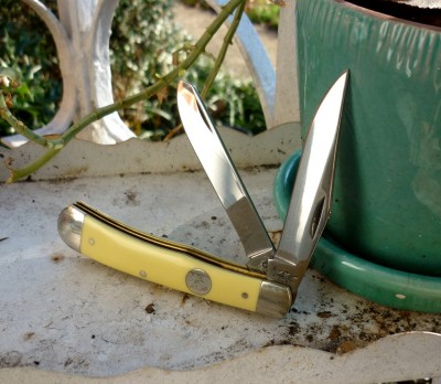 bear_c354_3.jpg