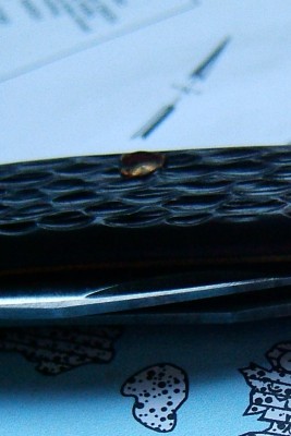 787_pin_C.jpg