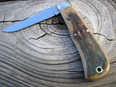 #73 Scout Mammouth Ivory 3B.JPG