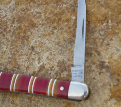TC 010.JPG